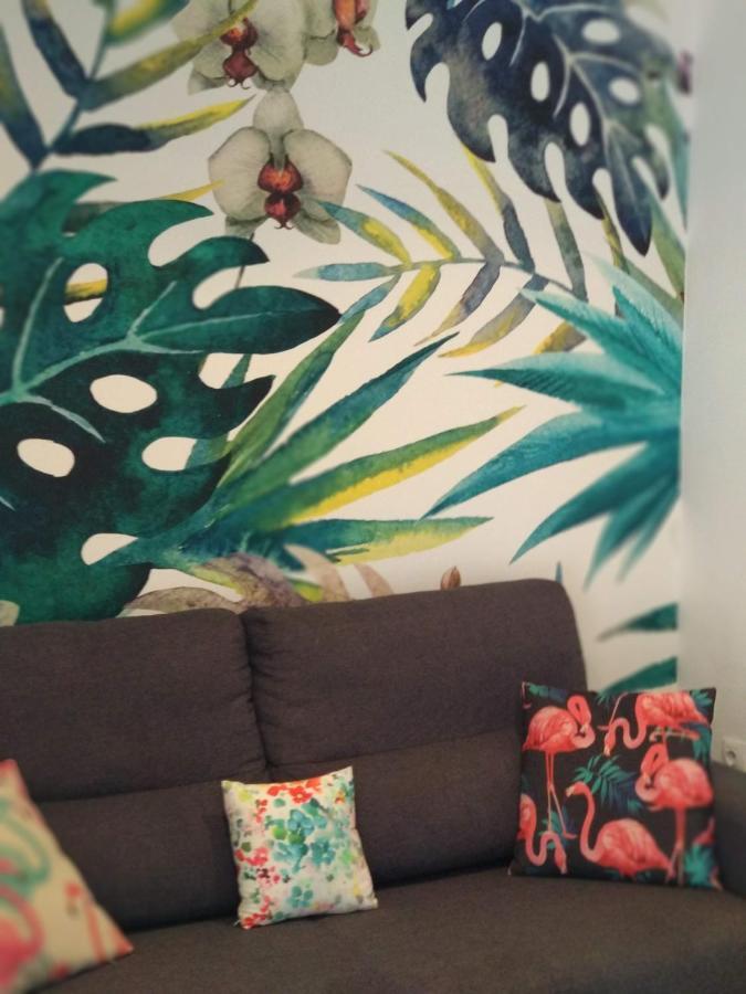 Atico Fenicia Apartman Cádiz Kültér fotó